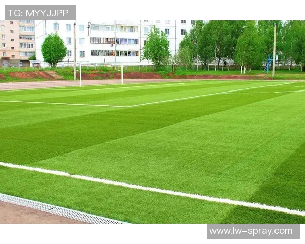 足球草坪沙的选择与维护技巧助你打造完美绿茵场地